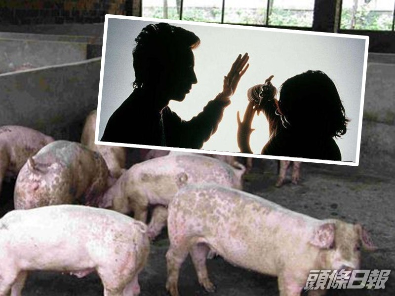 女子婚後被夫虐待迫瞓豬欄及虐打。配圖與本文無關