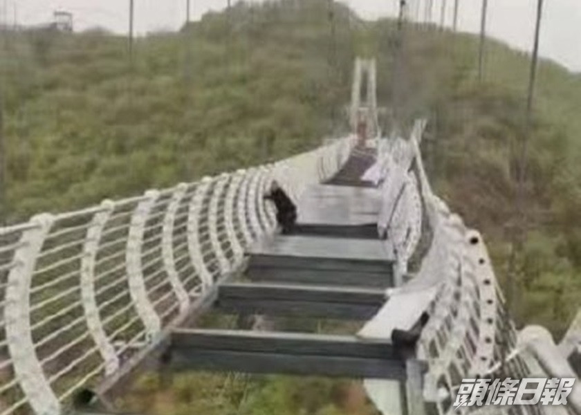 吉林延邊一處點玻璃吊橋被強風吹破,橋上遊客受困獲救。網圖