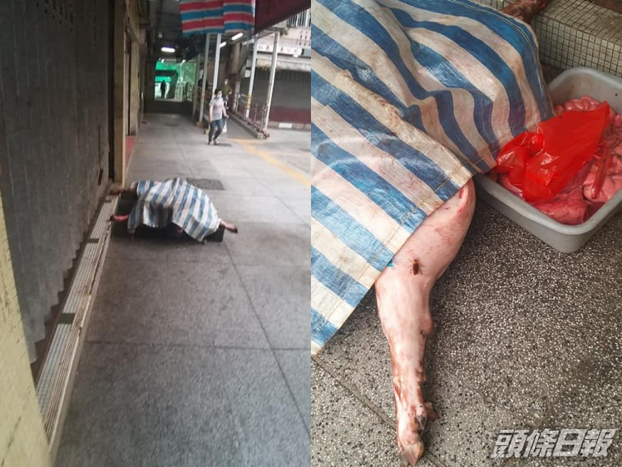 柴灣肉檔豬殼及內臟放地,更有曱甴爬腳。網民「柴九」圖片