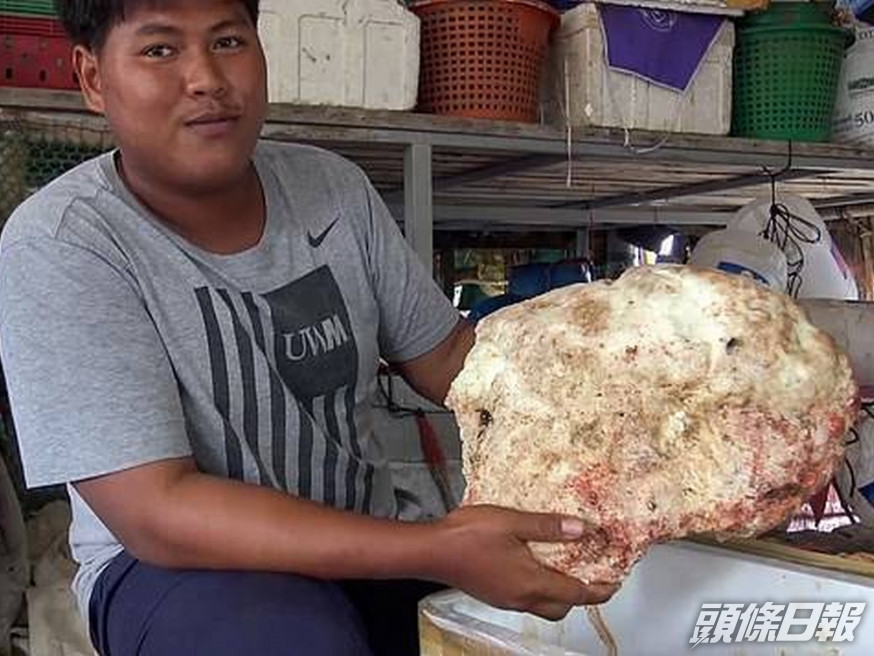 泰國漁民岸邊拾獲7kg鯨魚嘔吐物,價值高達21萬英鎊。(網圖)