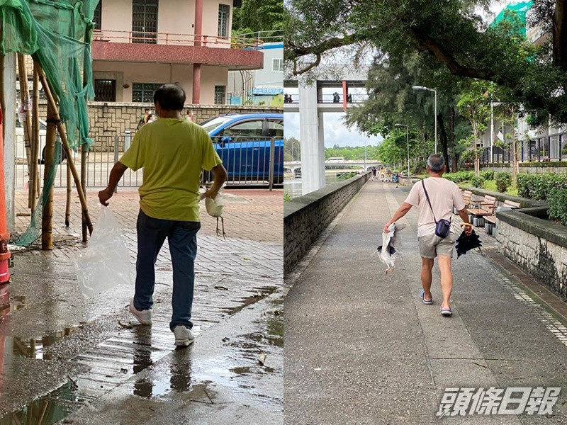 區議員連桷璋圖片/網民圖片
