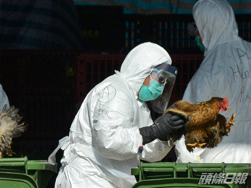 衞生防護中心密切監察,湖南40歲女子感染H5N6禽流感個案。資料圖片