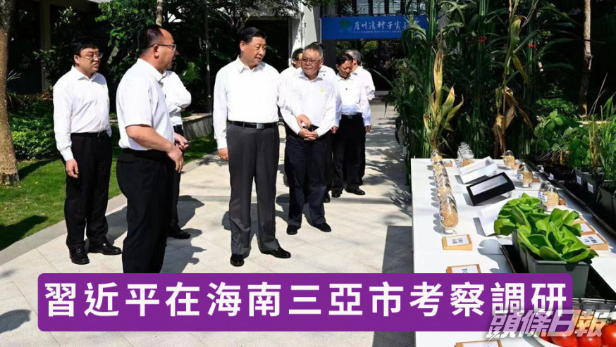 習近平在海南三亞市考察調研。