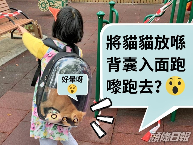 一名女童將小貓放進一個透明寵物背囊內,並在公園裡跑跑跳跳。「Vegan Concept」Facebook圖片
