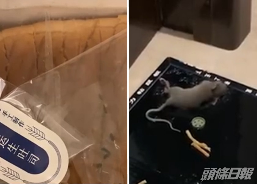內地民眾嚴女士指一款多士內有活老鼠,當地部門已介入調查。影片截圖
