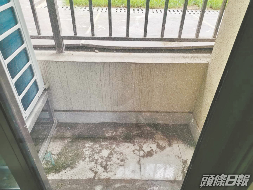 業主投訴陽台比路面低一截。網上圖片
