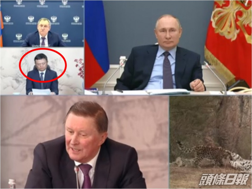 馬雲現身俄羅斯地理視像會議。網圖