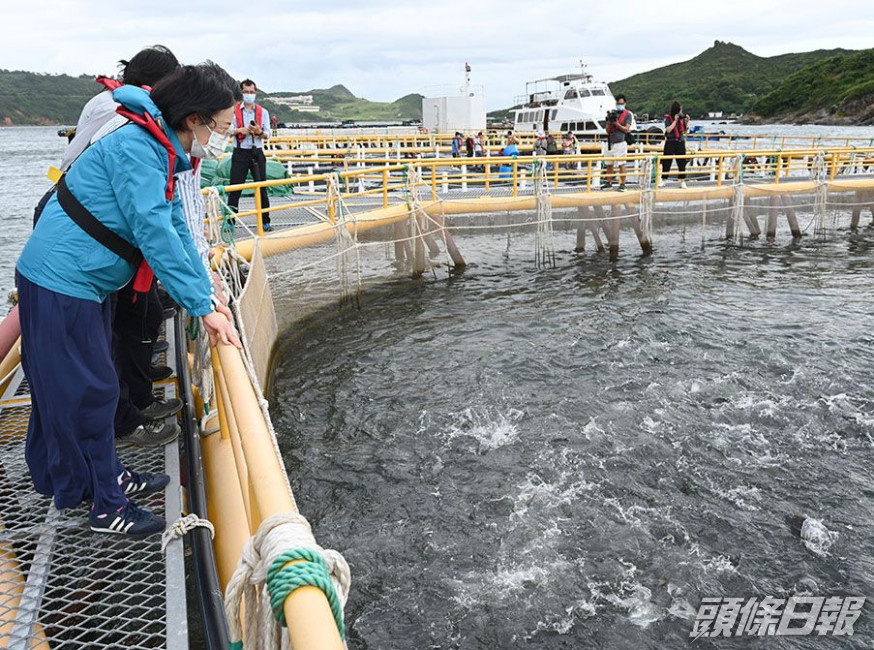 陳肇始視察東龍洲深海網箱養殖示範場。網誌圖片
