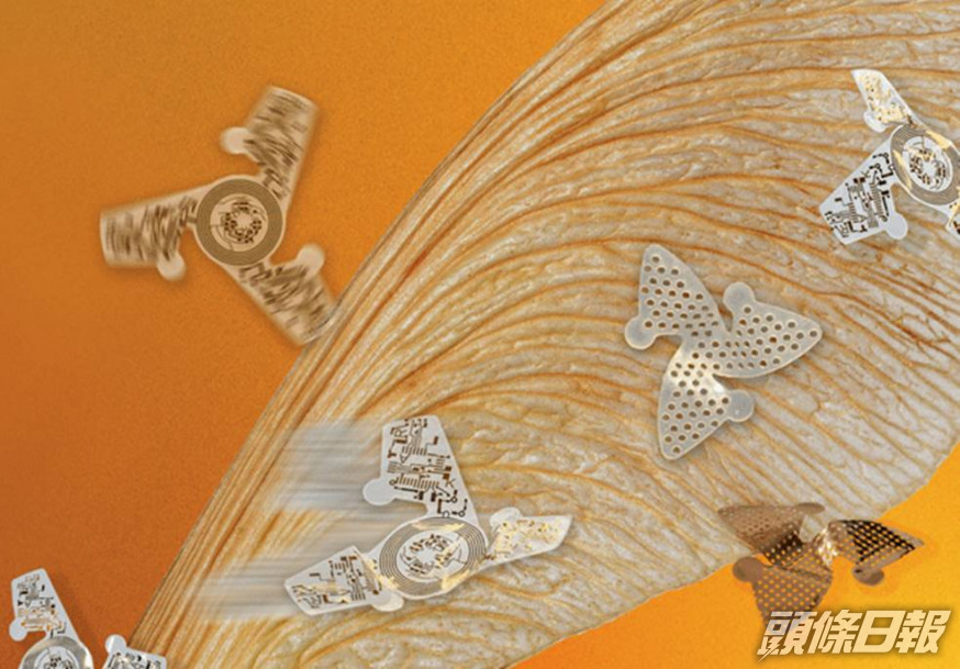微型飛行器具有3片翅膀,可以隨風緩慢旋轉漂浮。互聯網圖片