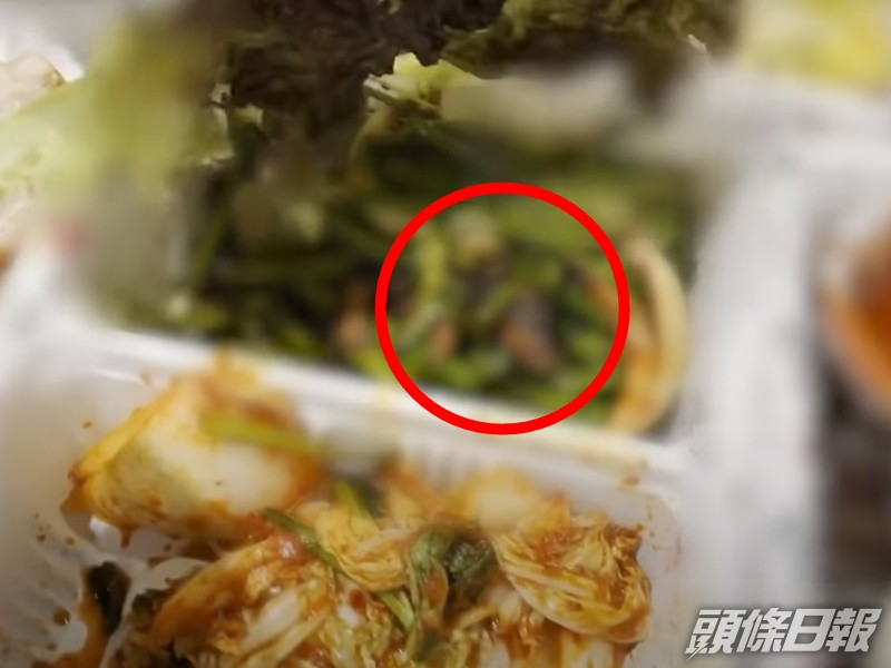一隻老鼠躺在外賣餐盒裡面。影片截圖