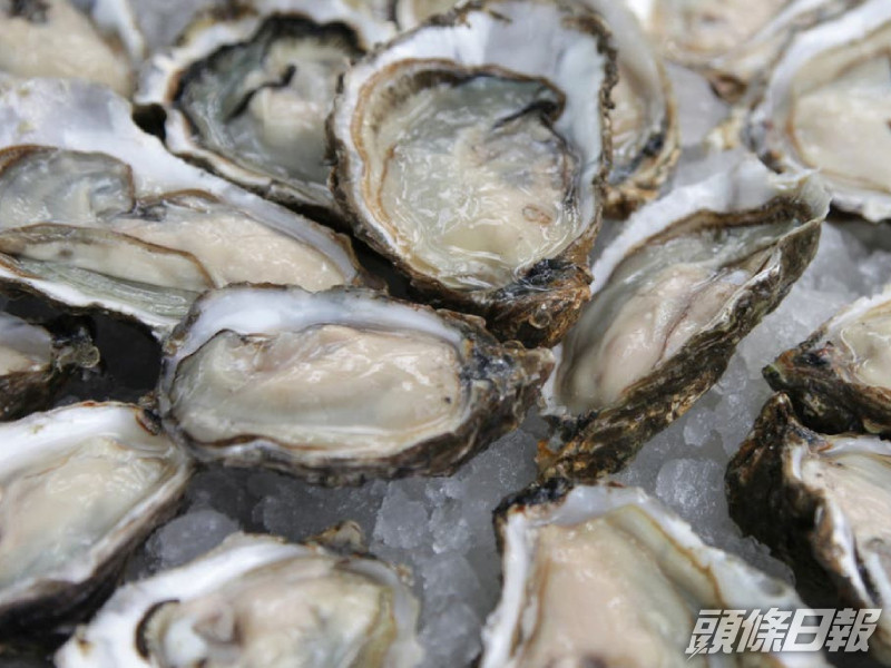 澳洲Coffin Bay出產的即食生蠔因細菌污染需要回收。資料圖片