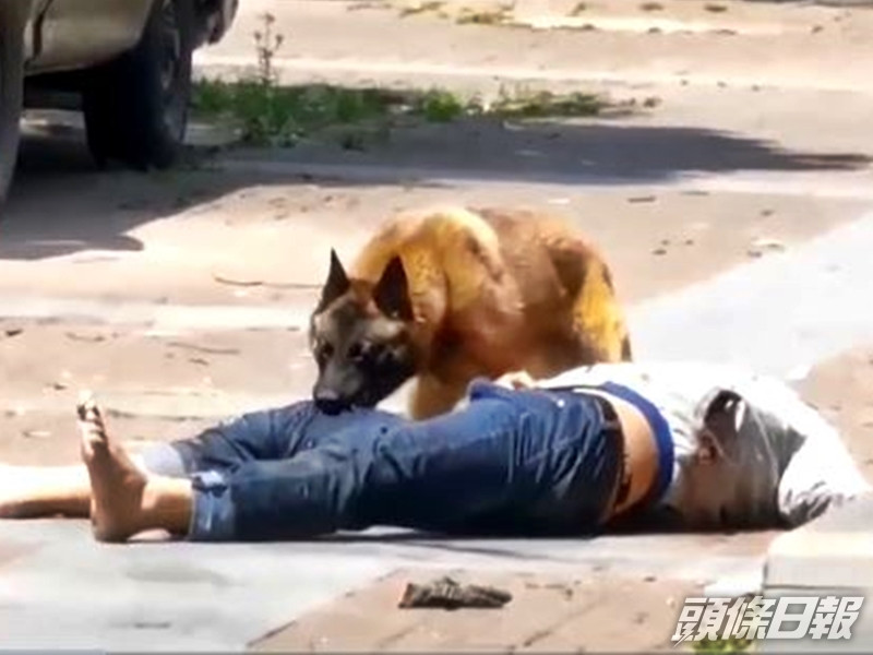 江蘇一名醉漢故意挑釁原本被關在籠子裡的大狗,更將籠子打開,結果遭大狗撕咬。影片截圖