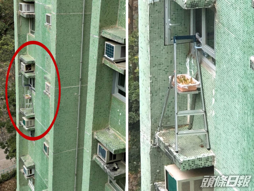 鄰居窗框綁鋁梯曬水仙,引起恐慌。(FB圖)