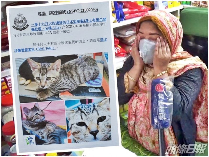 女貓主哭訴昨晚擔心得無法入睡。小圖為警方的尋貓傳單。