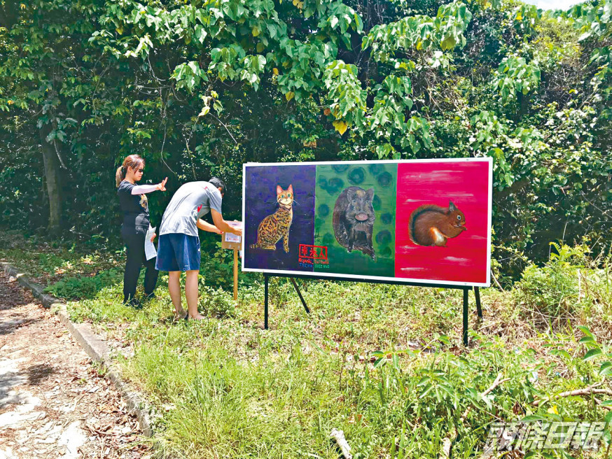 旅發局推介六條藝術文化路綫,位於元朗下白泥的藝術板畫,成為遊人勝地。