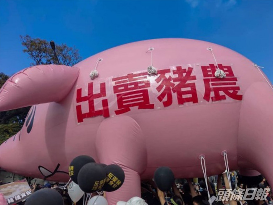 民眾不滿總統蔡英文政府進口美豬。馬英九 Instagram圖片