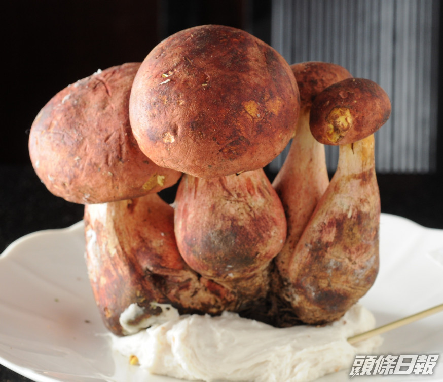牛肝菌。資料圖片