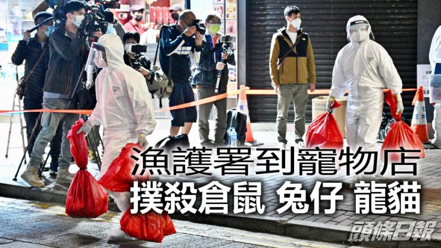 漁護署會檢取銅鑼灣Little Boss及其大埔倉庫的所有動物作檢測,然後人道處理。