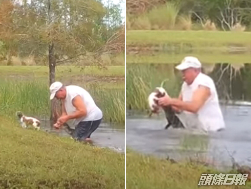 美國74歲老翁為救愛犬 ,跳入湖中徒手掰開鱷魚嘴。(網圖)