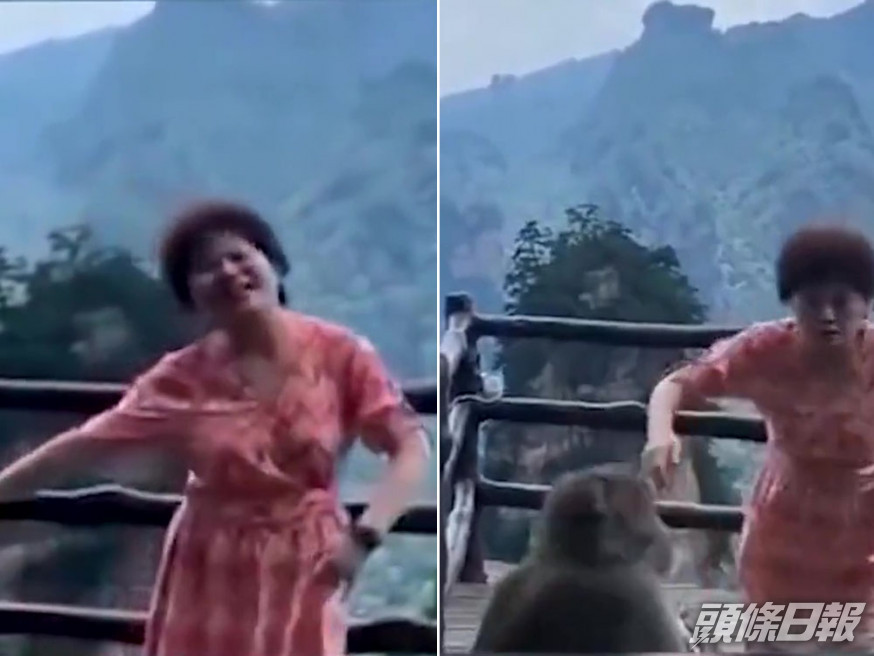 大媽張家界賞景開心跳舞,下秒卻遭猴子搶手袋。網圖