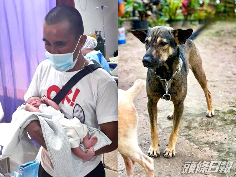 機智狗狗成功帶男途人救了棄嬰。Sibonga Wcpd Facebook