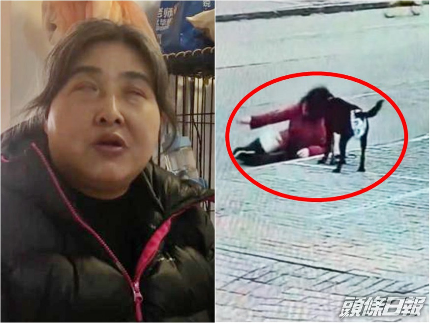 上海一名視障姨姨因遭鄰居投訴,被逼帶導盲犬於街外排泄,結果不時發生意外。網圖