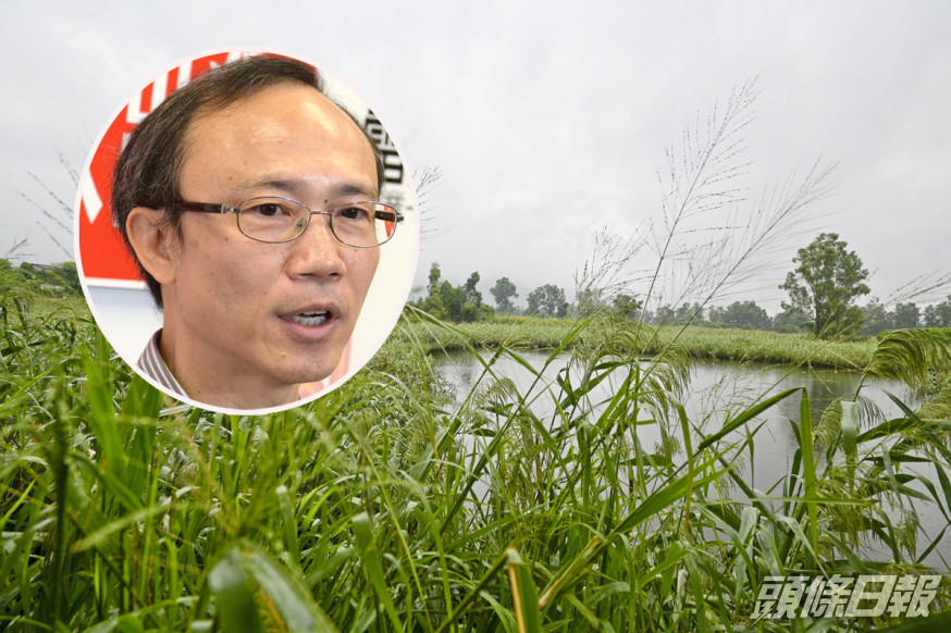 潘永祥指,不少漁塘已荒廢,有很多雜草及蚊患,對生態或附近居民造成滋擾。 資料圖片