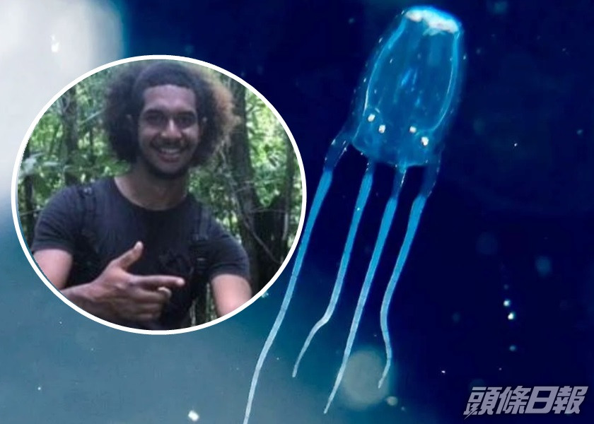 澳洲青年游泳時遭箱型水母襲擊不治,是當地15年來首次。網圖