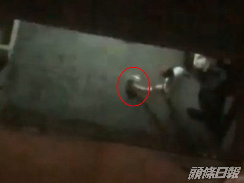 女子四度踢狗。網圖