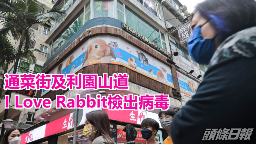 通菜街及利園山道I Love Rabbit檢出病毒。資料圖片