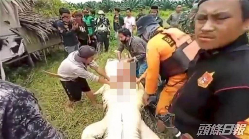 8歲男童遭巨鱷活吞死亡。網上圖片