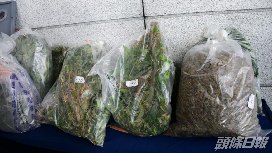 案中部分證物。
