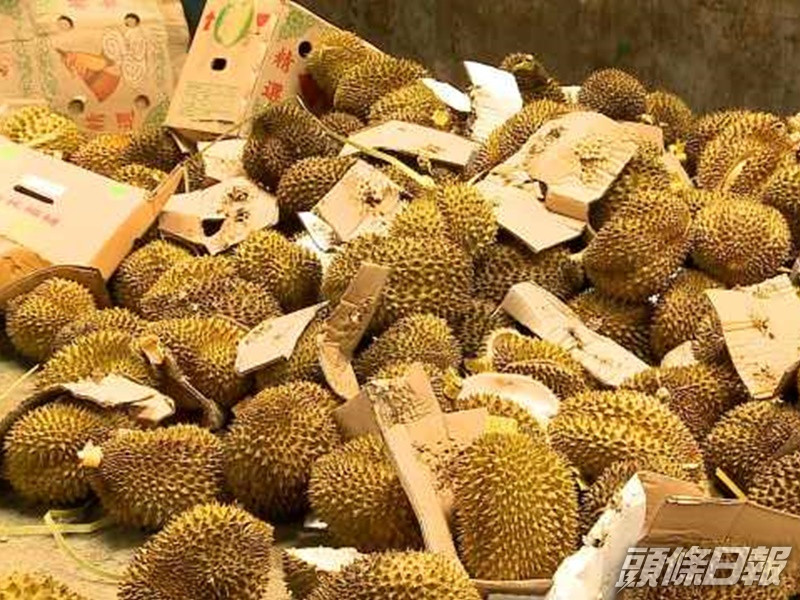 8月時廣西亦曾銷毀20噸走私榴槤。網圖