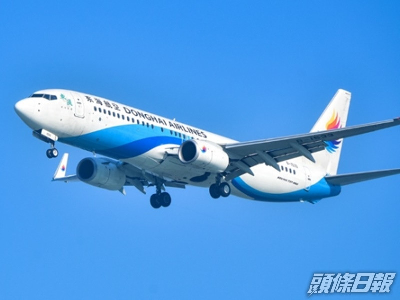東海航空指公司高度重視事件。網圖
