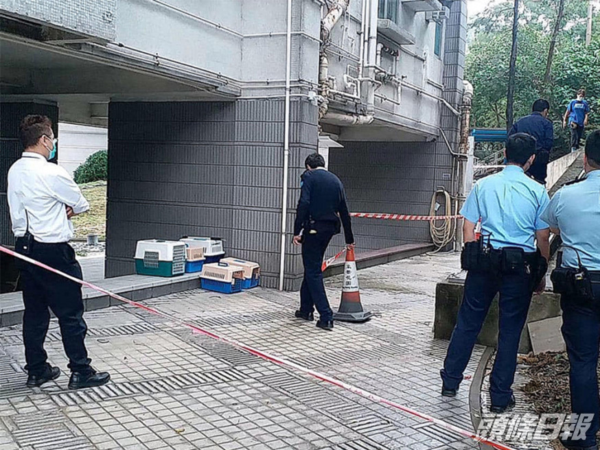 深井豪景花園於今年2月有多隻寵物疑被人從高處擲下。資料圖片