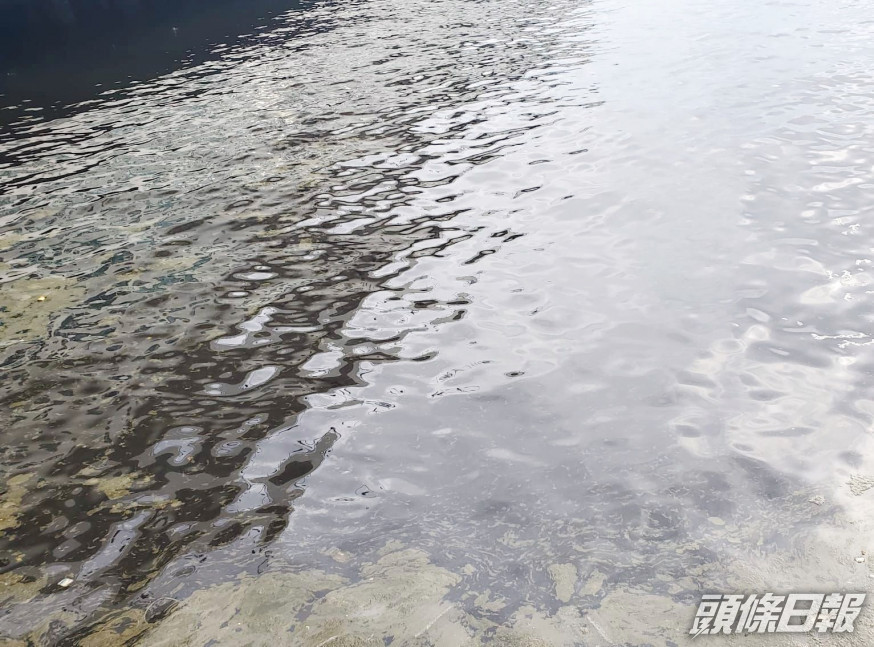 尖沙嘴海港城對開海面出現大片黃白色泡沫,疑是紅潮。