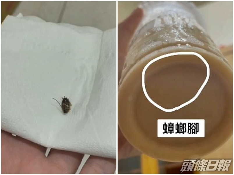 台灣高雄一名女高中生,日前在餐廳外賣一杯冰淇淋紅茶,怎料竟在喝到一隻完整的蟑螂。網圖