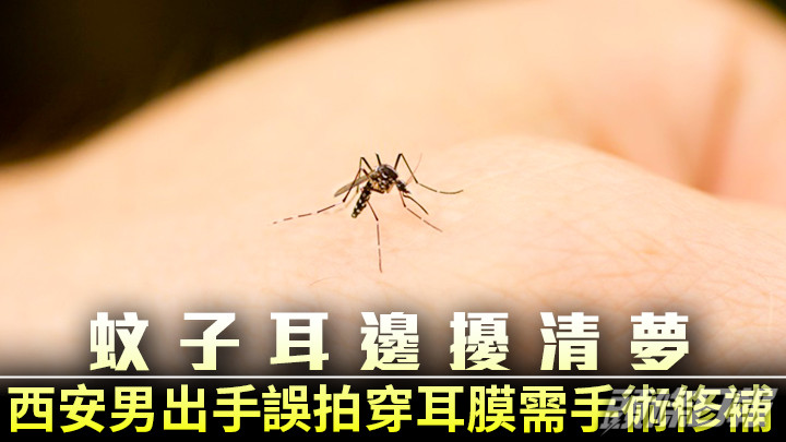 西安一名男子打蚊子時打穿耳膜,需接受修補手術治理。iStock示意圖,非涉事人