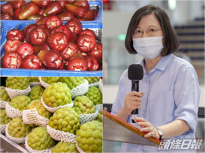 蔡英文就大陸禁台灣番荔枝及蓮霧輸入一事作出回應。資料圖片
