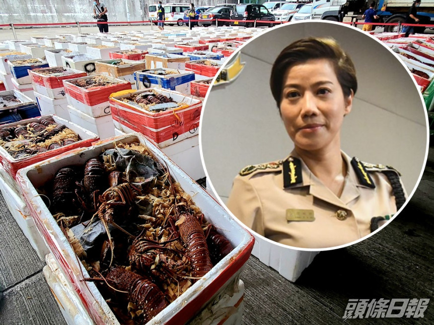 海關新任關長何珮珊指打擊走私龍蝦,也是維護國家安全的一環。