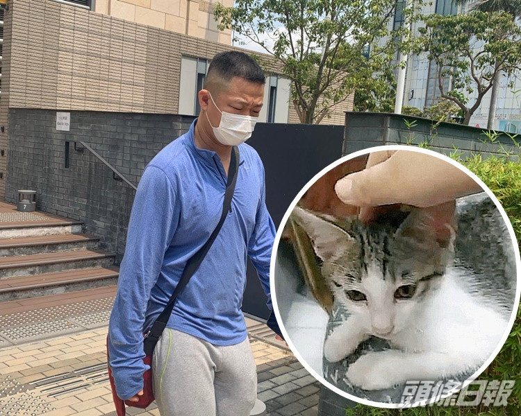 被告王乾認偷走幼貓「可樂」。