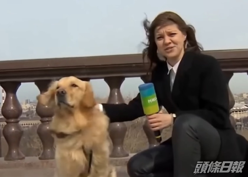 俄羅斯女記者進行直播期間,咪高峰一度被狗叼走。影片截圖