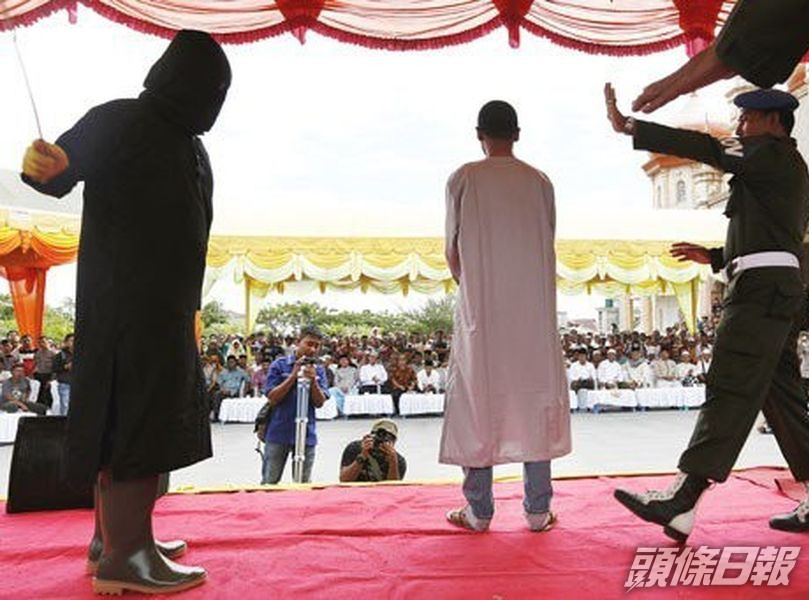 示意網圖