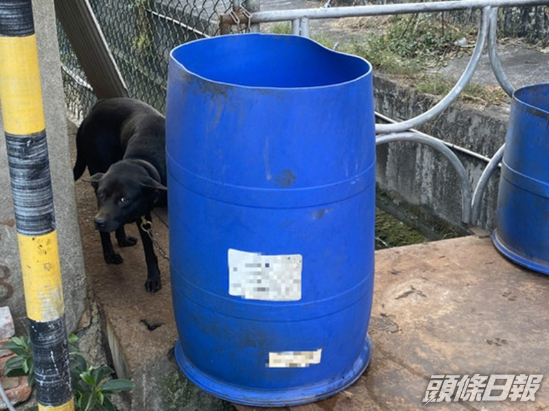 兩人均被同一犯罪集團殺害,遭封入桶內丟棄。網圖