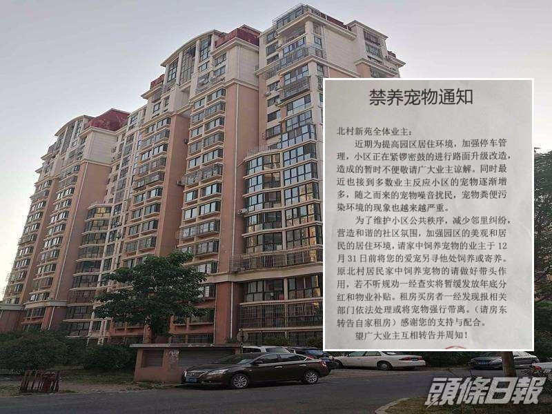 青島有小區禁止全體業主養寵物惹爭議。