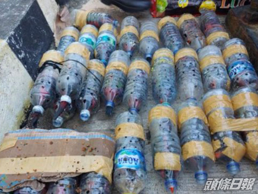 74隻鸚鵡被發現塞入膠樽。網圖