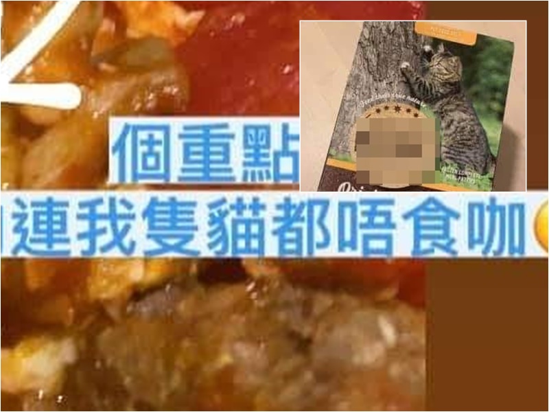 網民嫲嫲誤將貓糧生肉煮成飯盒。網民Kit Woo圖片