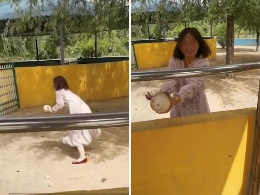 女子闖鴕鳥圈偷蛋。(影片截圖)