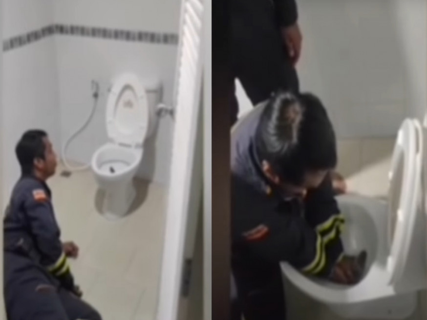 泰國一名男子如廁時發現馬桶有條蟒蛇。影片截圖