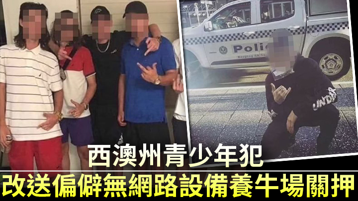 網上圖片